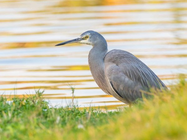 Les 10 meilleurs endroits pour faire du tourisme en Australie